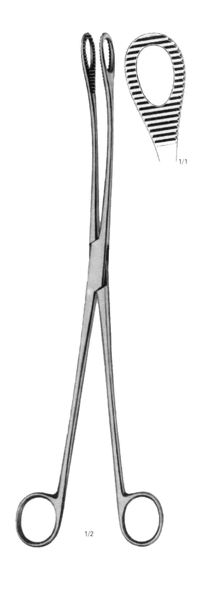 KELLY OVUM PENSİ 32 CM